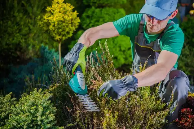landscaping services Welsh
